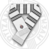 Bar šal FK Partizan